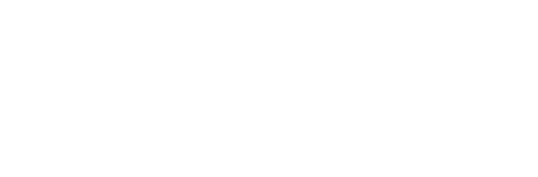 Logo Domus Petra